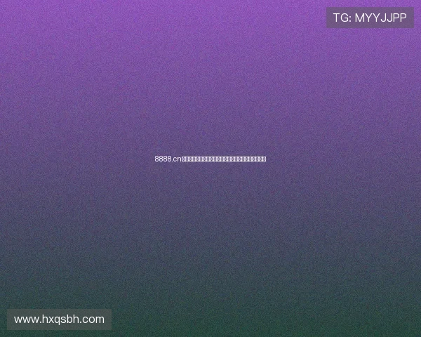 8888.cn网站最新更新：全新功能上线提升用户体验与服务质量